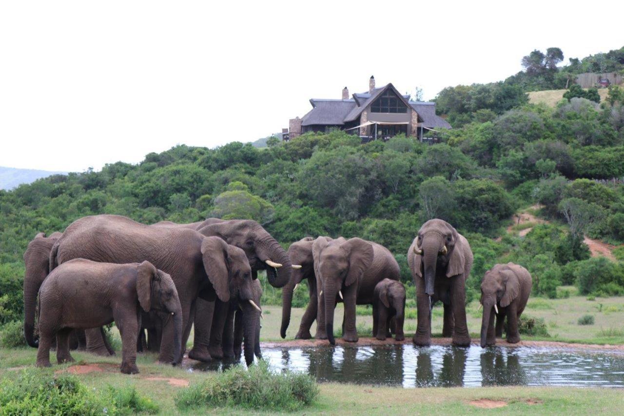 Hopewell Private Game Reserve Buyskloof ภายนอก รูปภาพ