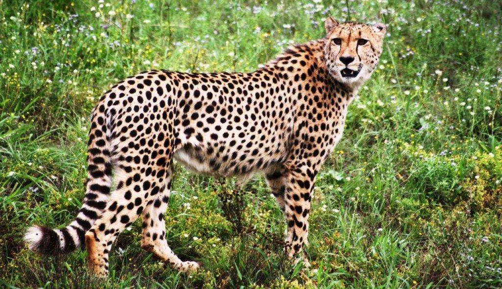 Hopewell Private Game Reserve Buyskloof ภายนอก รูปภาพ