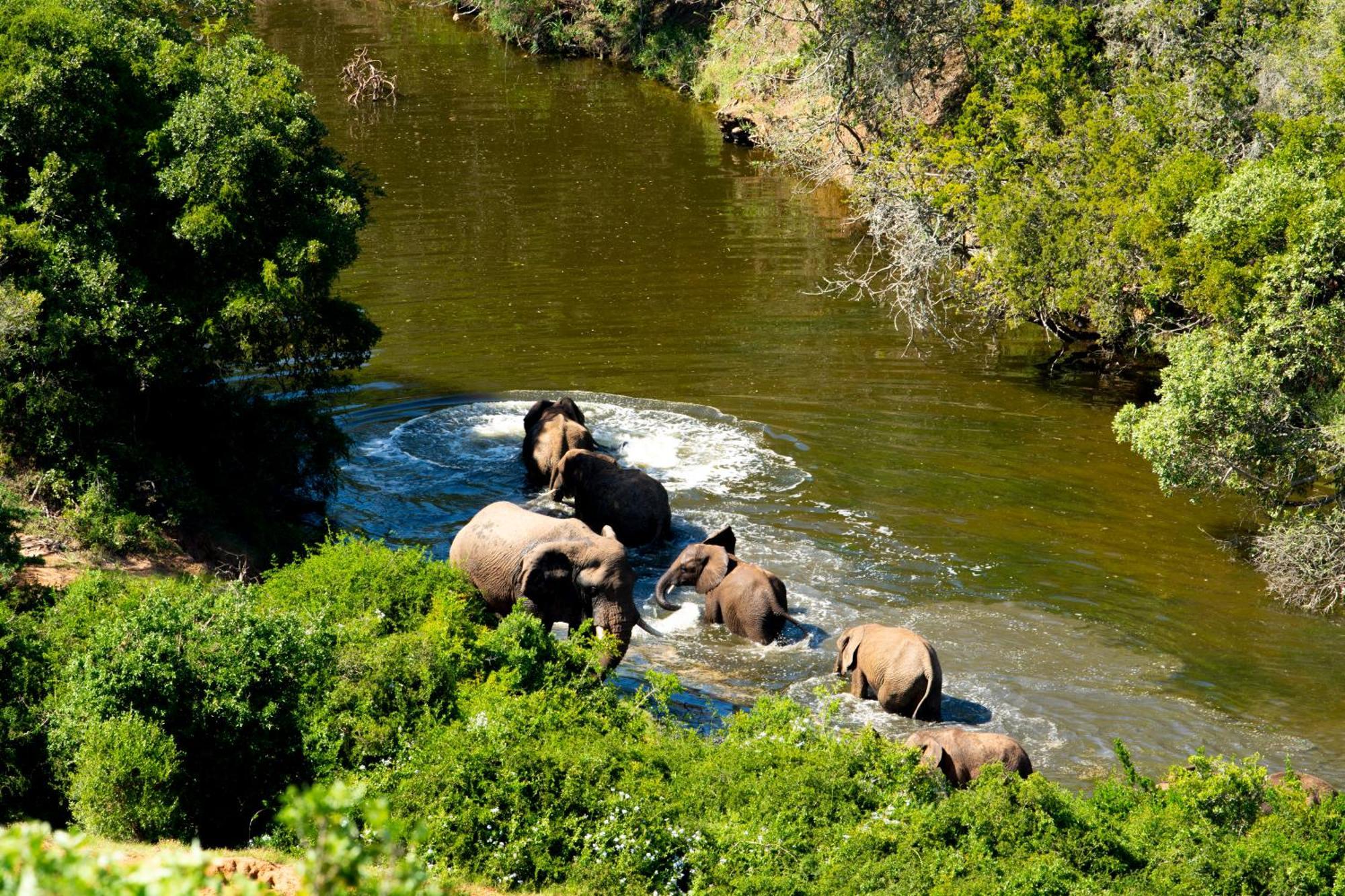 Hopewell Private Game Reserve Buyskloof ภายนอก รูปภาพ