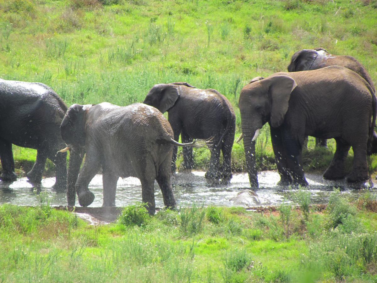 Hopewell Private Game Reserve Buyskloof ภายนอก รูปภาพ